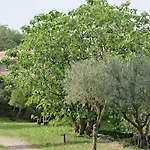 En Cévennes Du Sud, Bergerie Restaurée Au Rez De Jardin D'une Bastide Avec Piscine à Débordement, Vue Exceptionnelle, Authenticité, Confort, Repos Assuré Au Cœur De La Nature Saint-Laurent-le-Minier