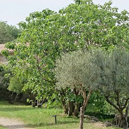 En Cévennes Du Sud, Bergerie Restaurée Au Rez De Jardin D'une Bastide Avec Piscine à Débordement, Vue Exceptionnelle, Authenticité, Confort, Repos Assuré Au Cœur De La Nature Saint-Laurent-le-Minier